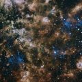 陸上競技者の星座別スピード・スタミナ比較とトレーニング事例