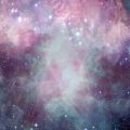 2025年の星の逆行カレンダーとその影響：12星座別解説