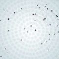 日本における十二星座の受け入れとアレンジの歴史