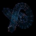 星座と干支：異なる十二分割の意味と役割