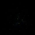 新年度に金運が上がる星座ランキングと日本文化での縁起担ぎ