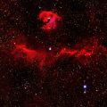 星座とエニアグラムの基礎知識：日本人向けの性格診断の新たな視点