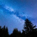 日本の四季折々と星座タロット占いのコラボレーション企画