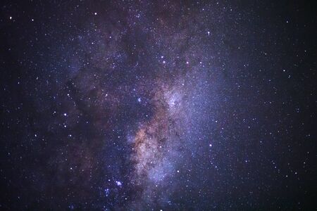 恋愛・仕事・健康運、星占いアプリの各種機能を使いこなすコツ