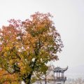 おうし座と日本の四季：季節の変化と心のバランス