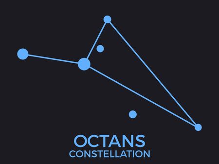 星座ごとの食材選びと日本の旬の味覚との相性解説