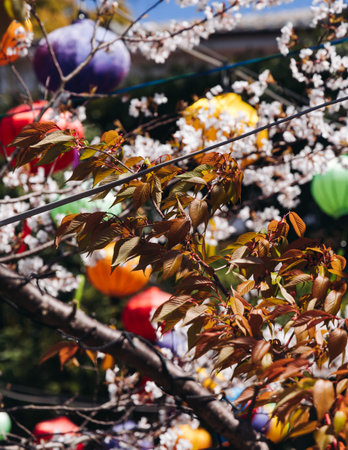 有名な日本人の西洋星座と干支の組み合わせ分析