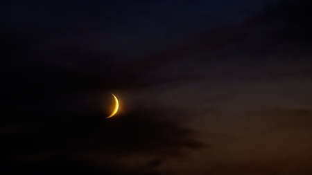 2025年のドラマティックな日蝕・月蝕、その月に起こる星座別運命